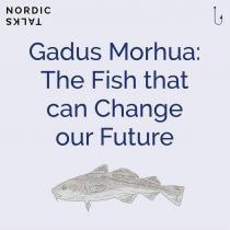 Gadus Morhua